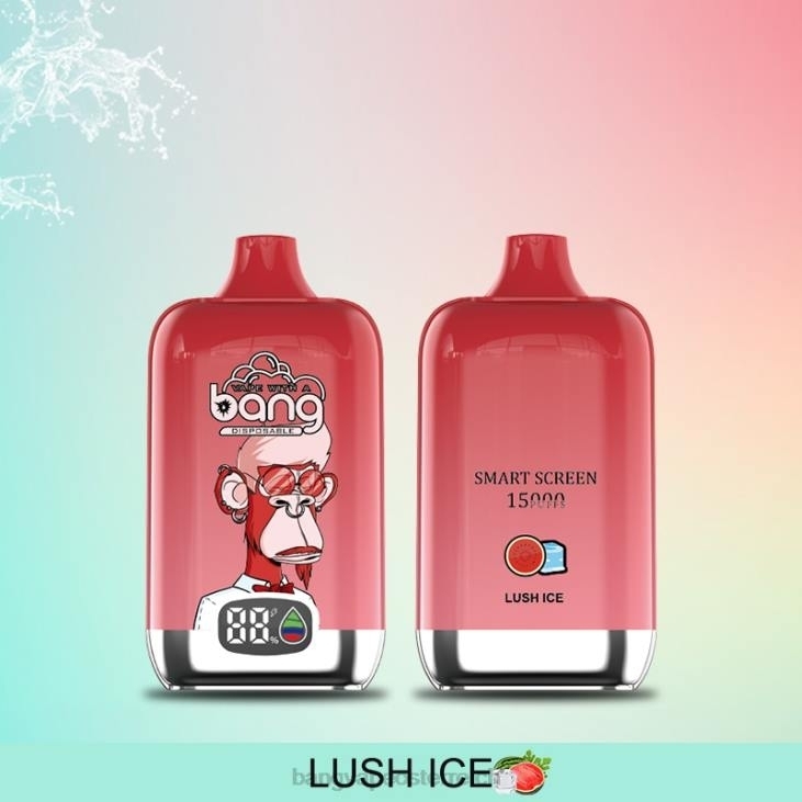 Bang Vape Digital Smart Screen 15000 Züge 25 ml Einweg - Bape Vape flavors 200L11
