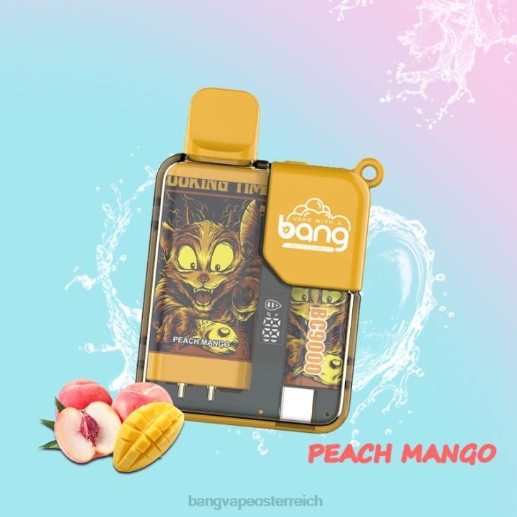 Bang Vape Box BC9000 vorgefüllt 16ml Einweg - Bang box vape flavors 200L6