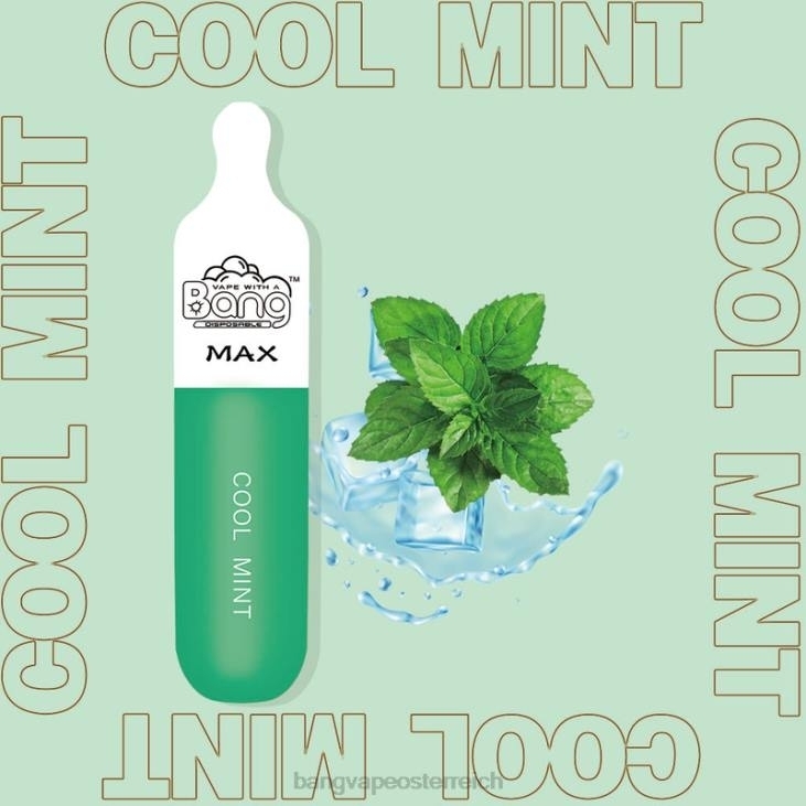 Bang Vape Max 5000-Puff-Riegel Einweg - Vape Gang Österreich 200L10