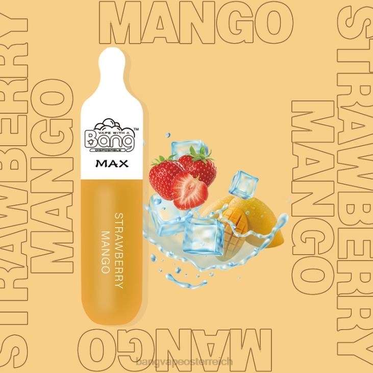 Bang Vape Max 5000-Puff-Riegel Einweg - Vape Gang Österreich 200L10