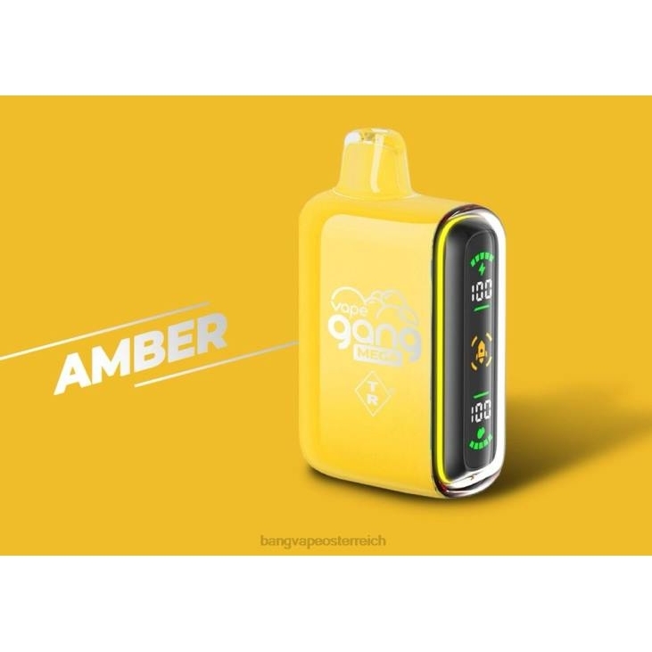Vape Gang MEGA 20.000 Züge Einweg-Vaporizer (5er-Packung) Bernstein - Vape Gang Österreich 200L50