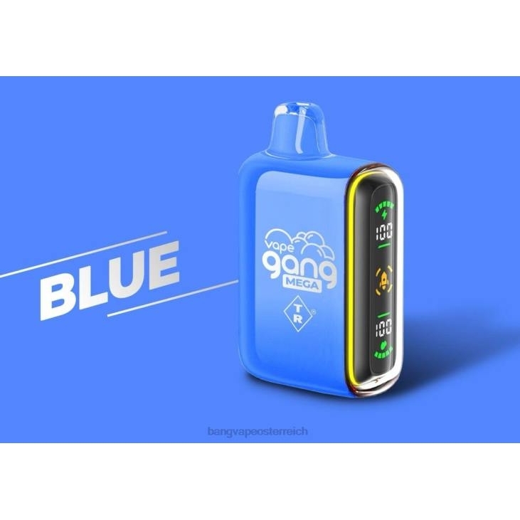 Vape Gang MEGA 20.000 Züge Einweg-Vaporizer (5er-Packung) Blau - Bape Vape flavors 200L52