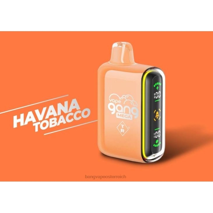 Vape Gang MEGA 20.000 Züge Einweg-Vaporizer (5er-Packung) Havanna-Tabak - Bape Vape Wien 200L55
