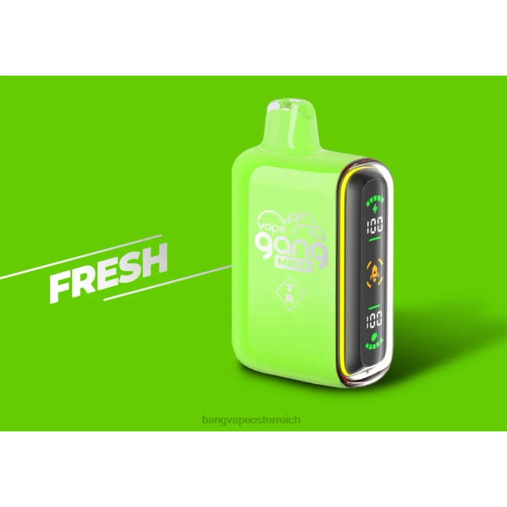 Vape Gang MEGA 20.000 Züge Einweg-Vaporizer (5er-Packung) frisch - Bape Vape Österreich 200L53