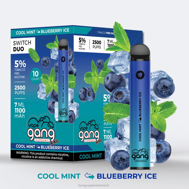 Vape Gang Switch Duo 2 Geschmacksrichtungen (10er-Packung) kühle Minze – Blaubeereis - Bape Vape Wien 200L43