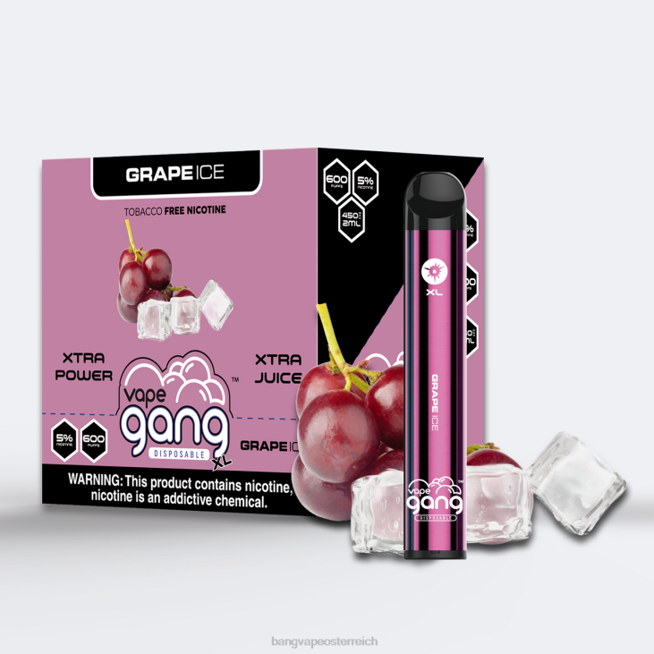 Vape Gang XL Einweg-Vaporizer 600 Züge (10er-Packung) Traubeneis - Vape Gang Österreich 200L62