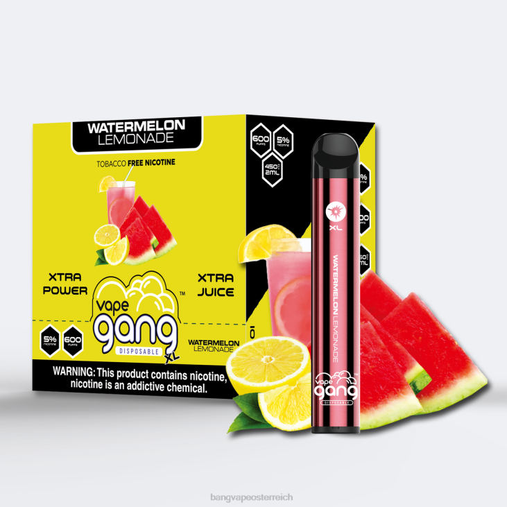 Vape Gang XL Einweg-Vaporizer 600 Züge (10er-Packung) Wassermelonenlimonade - Bape Vape Wien 200L65